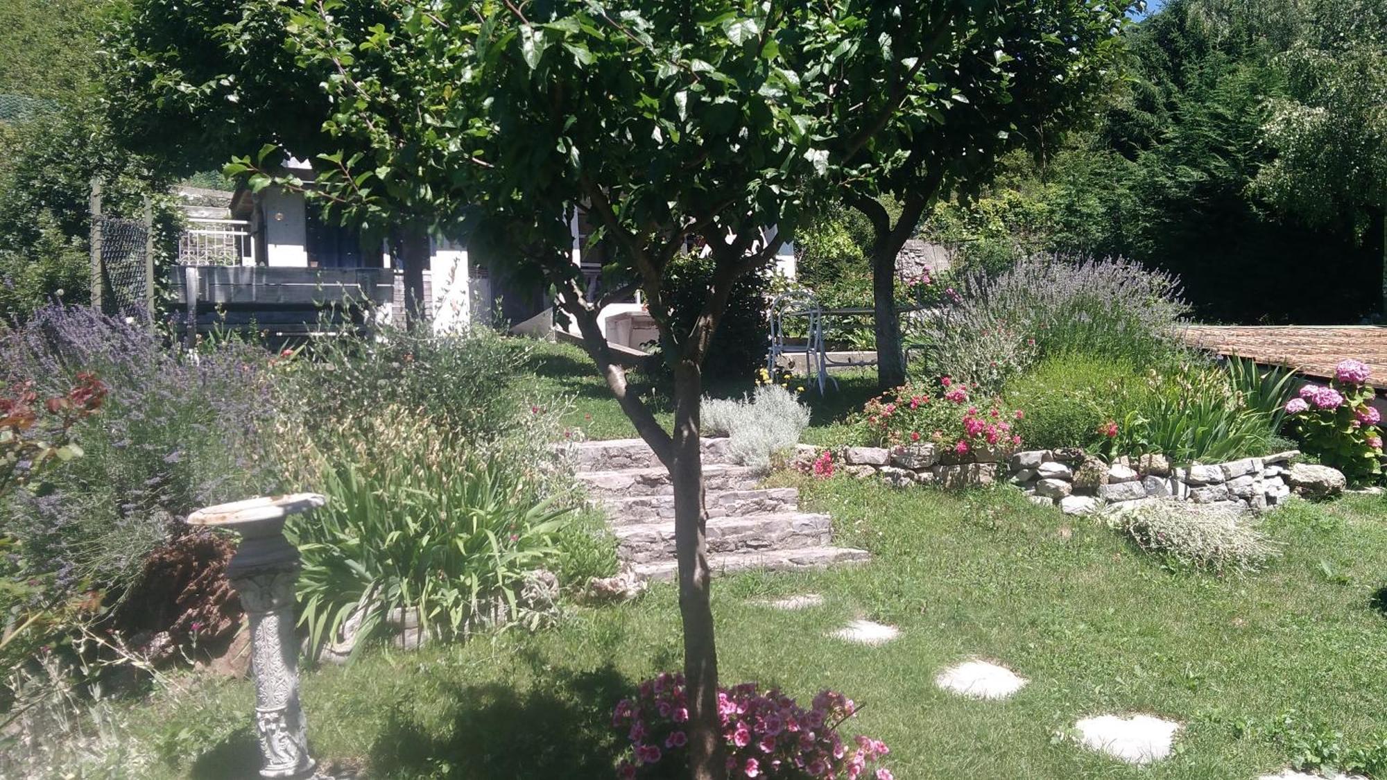 Bed And Breakfast Papillon Perledo Exterior photo